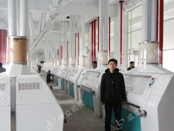 大型日產(chǎn)200噸面粉加工廠(chǎng)設(shè)備，自動(dòng)化生產(chǎn)線(xiàn)